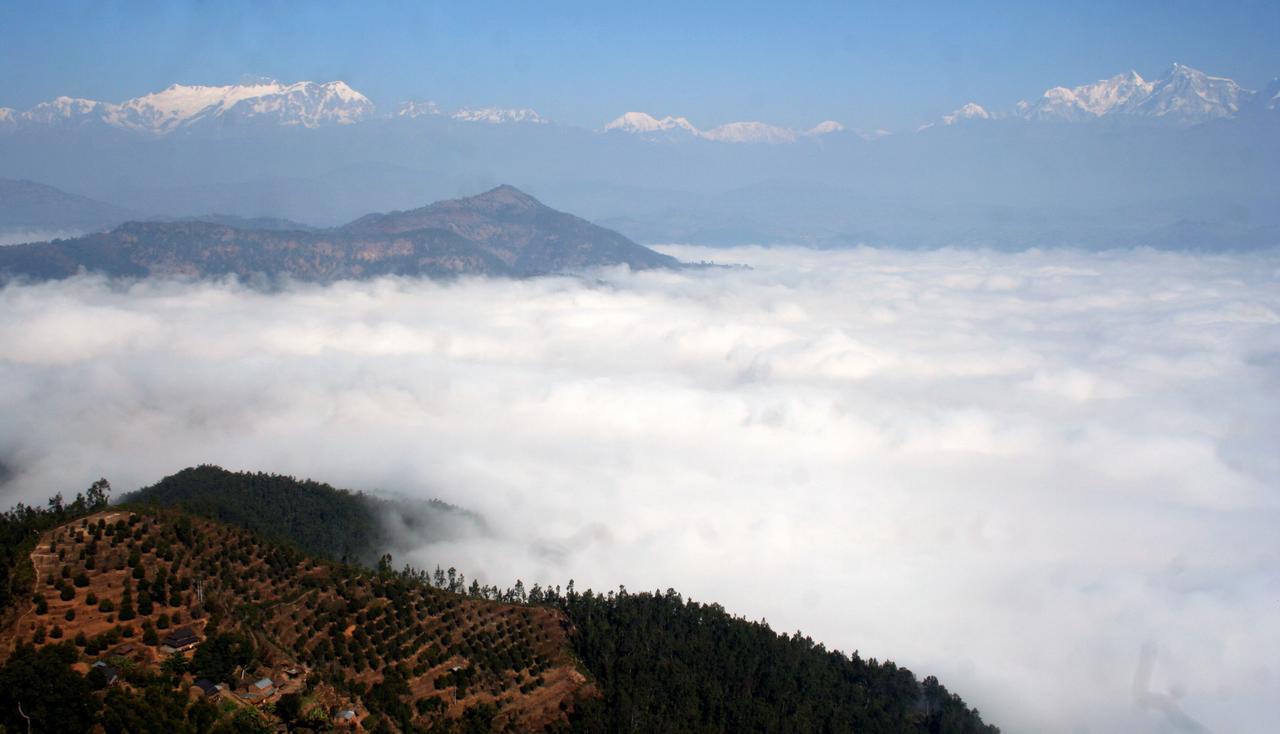 Bandipur Village Resort حديقة بانديبور الوطنية المظهر الخارجي الصورة